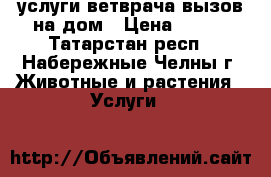услуги ветврача вызов на дом › Цена ­ 100 - Татарстан респ., Набережные Челны г. Животные и растения » Услуги   